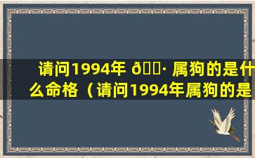 请问1994年 🌷 属狗的是什么命格（请问1994年属狗的是什么命格呢）